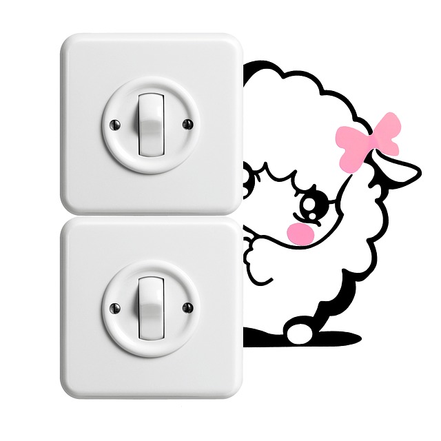 vypínače a ovečka.jpg